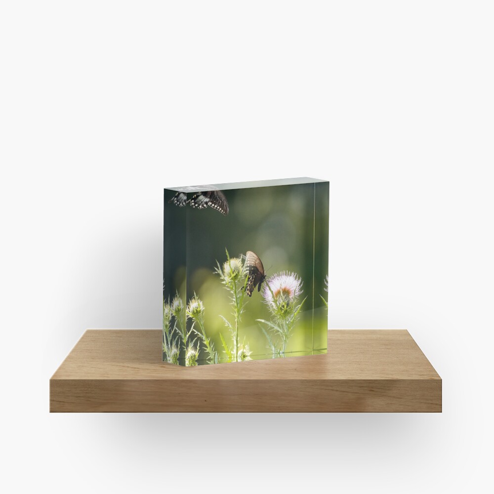 Item preview, Acrylic Block designed and sold by acwb.