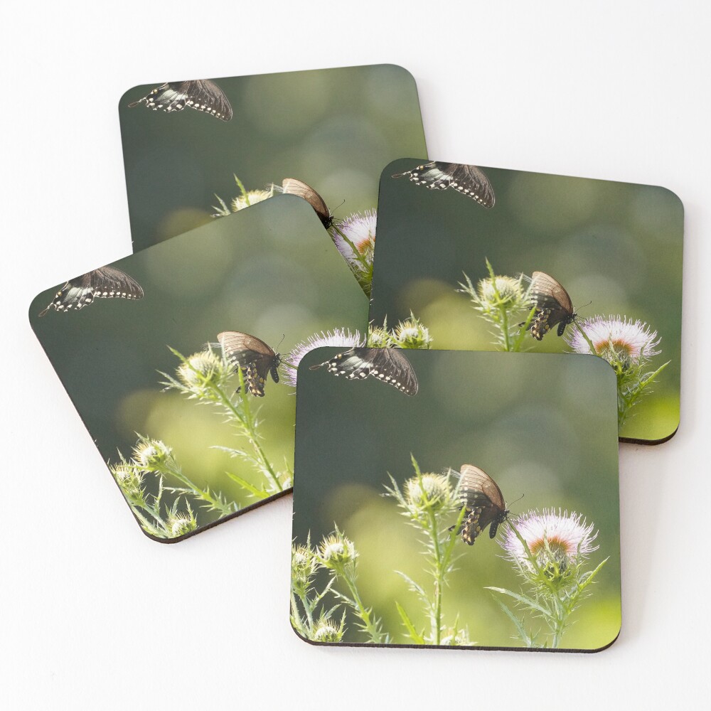 Item preview, Coasters (Set of 4) designed and sold by acwb.