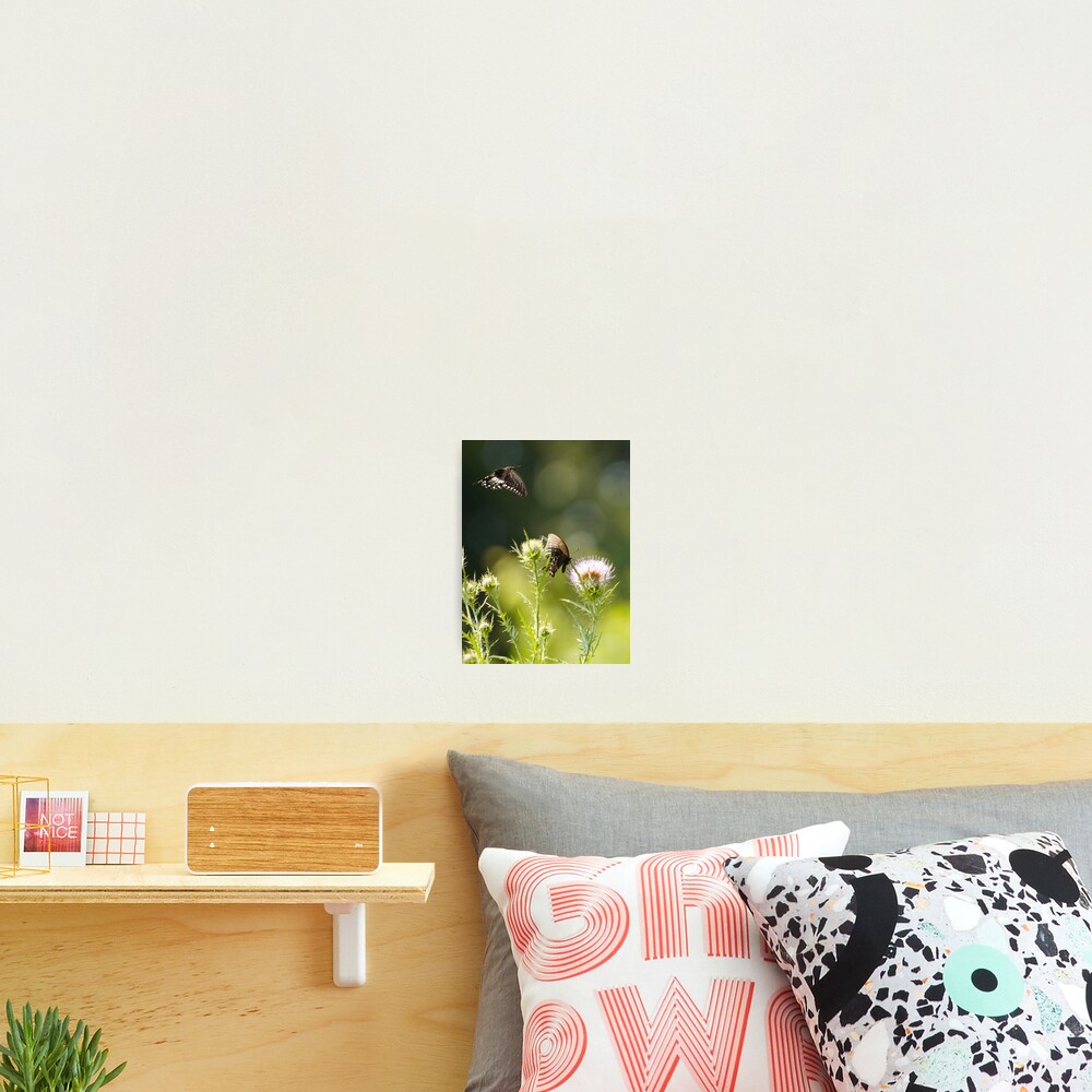 Item preview, Photographic Print designed and sold by acwb.