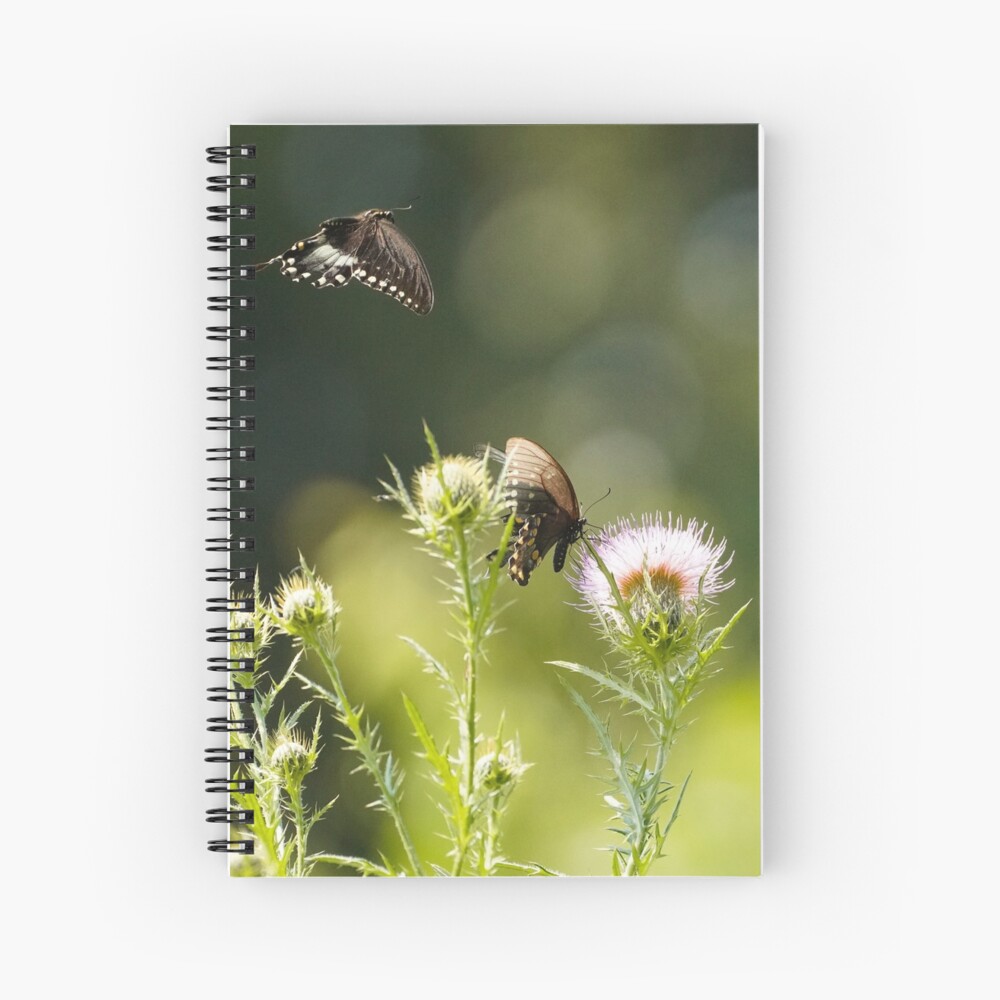Love is in the Air - Spicebush Swallowtail Butterflies Spiral Notebook