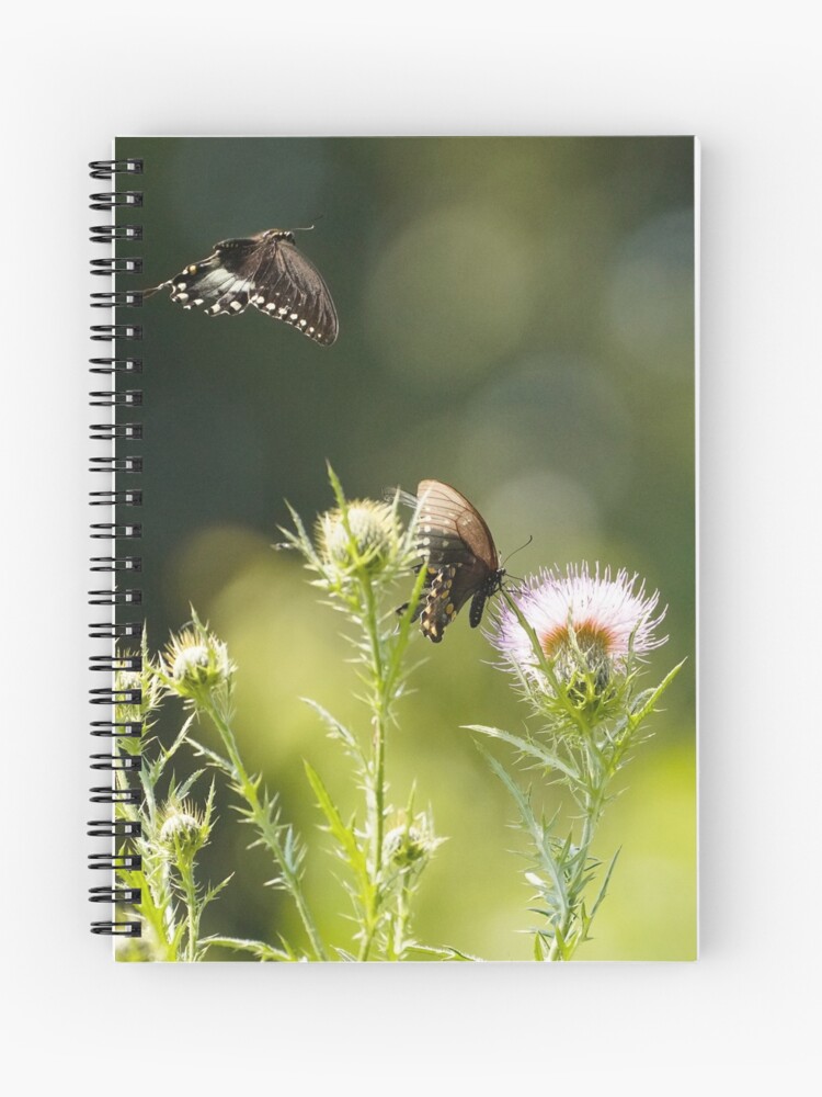Thumbnail 1 of 3, Spiral Notebook, Love is in the Air - Spicebush Swallowtail Butterflies designed and sold by acwb.