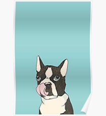 Hungry Boston Terrier (Black) Poster