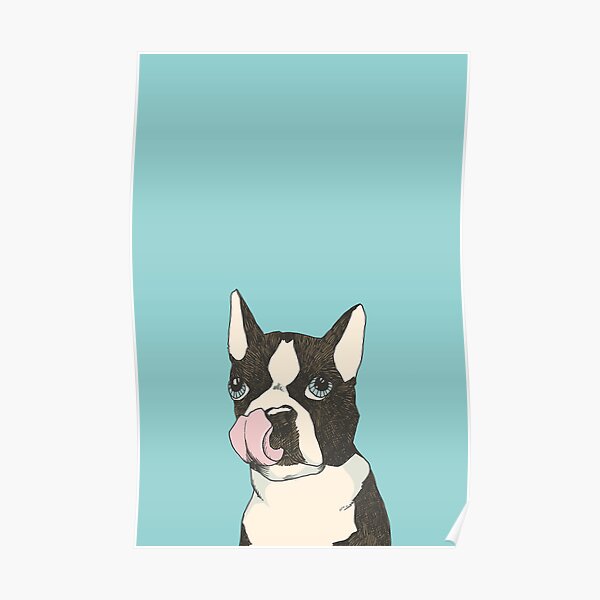 Hungry Boston Terrier (Black) Poster