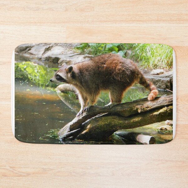 Item preview, racoon designed and sold by ToniStauche.