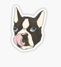 Hungry Boston Terrier (Black) Sticker