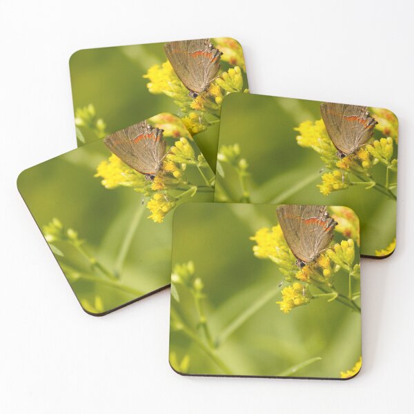 Item preview, Beauty in a tiny package - Red Banded Hairstreak Butterfly feeding on Wildflowers designed and sold by acwb.
