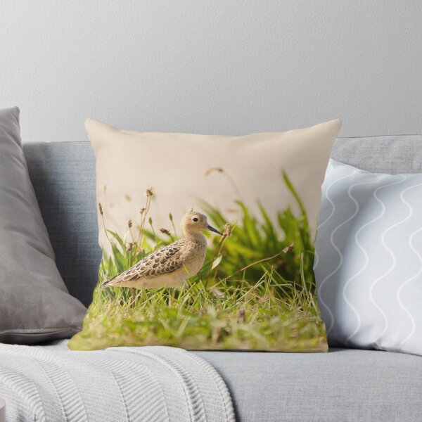Item preview, Adorable Buff Breasted Sandpiper designed and sold by acwb.