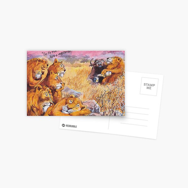 vegetarian lion Postcard