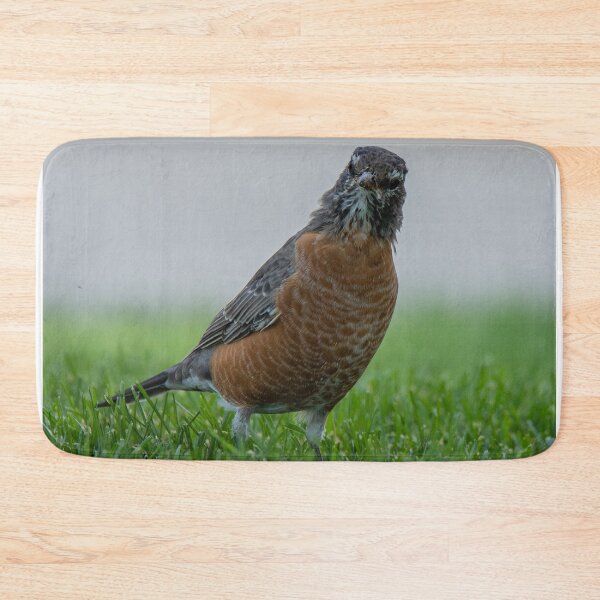 Item preview, An American Robin On Grass designed and sold by FreelanceJim.