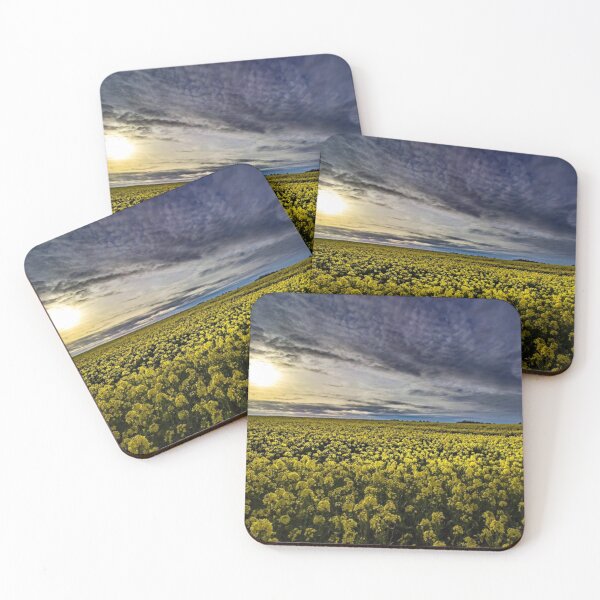 Item preview, Bright Sun over Yellow Rapeseed Field in Summer designed and sold by CClarkePhotos.