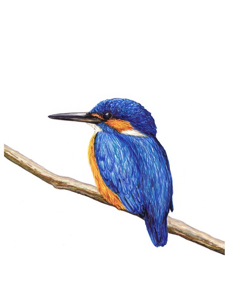 Thumbnail 4 of 4, iPhone Case, Kingfisher designed and sold by LFurtwaengler.