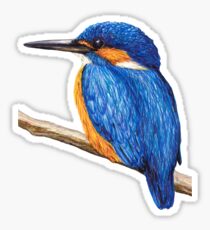 Kingfisher Sticker