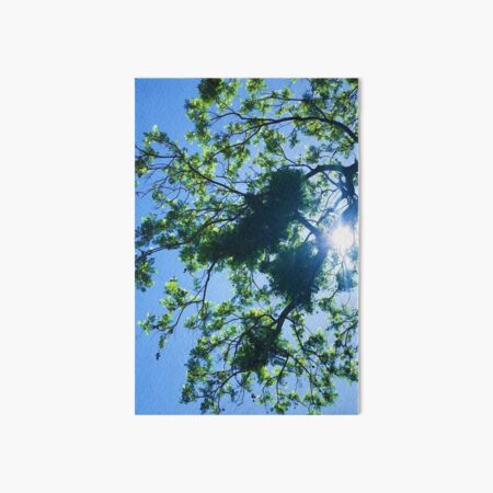 blue skies and trees Art Board Print