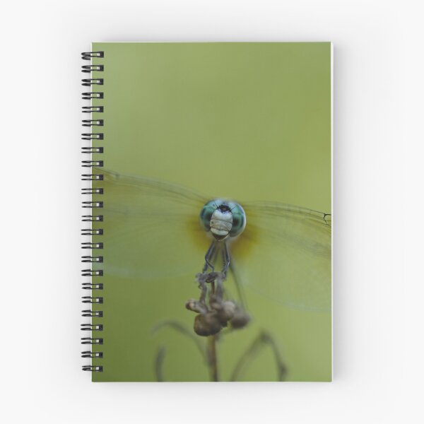 Item preview, The Happiest Little Dragonfly - A Blue Dasher designed and sold by acwb.