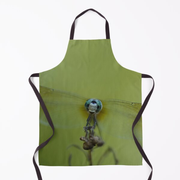 Aperçu de l'œuvre La petite libellule la plus heureuse - A Blue Dasher créée et vendue par acwb.