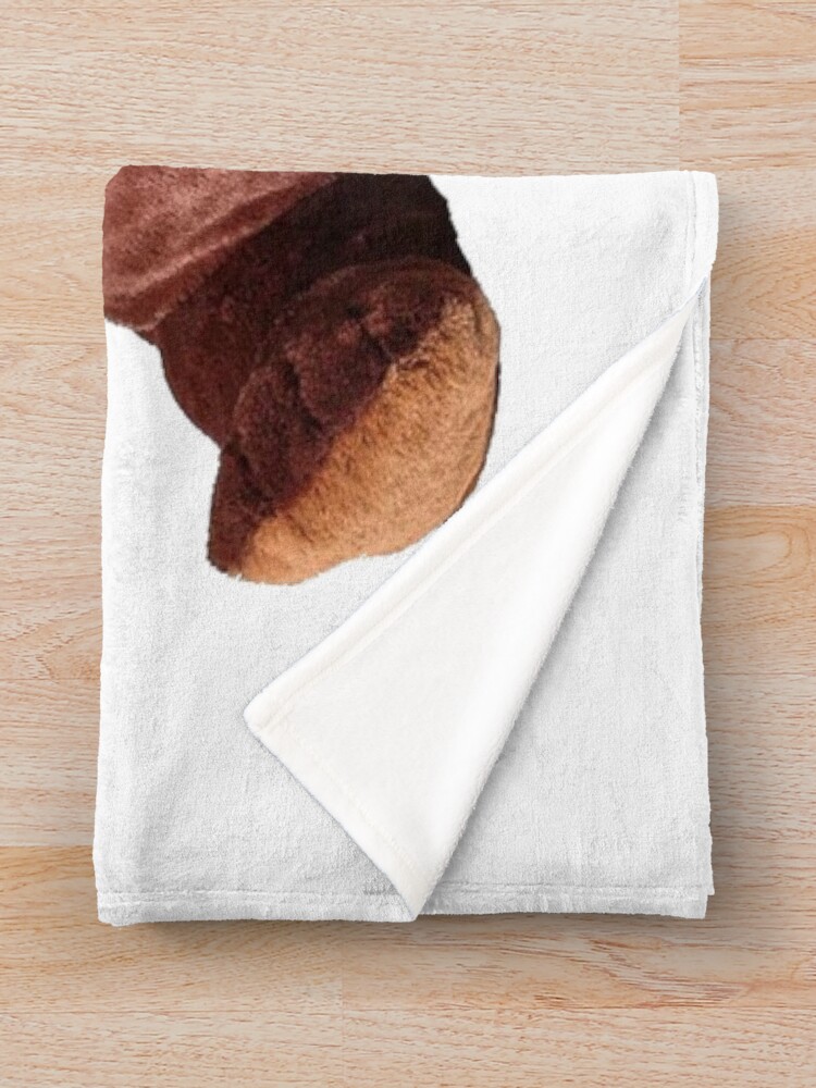 ugg bear blanket
