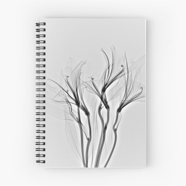 Item preview, Xray of Madonna Lilies, Inverse of Original designed and sold by xrayjessie.