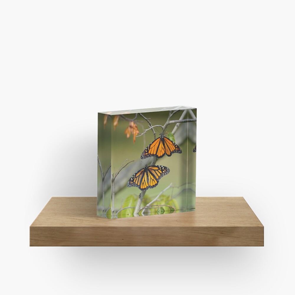Item preview, Acrylic Block designed and sold by acwb.