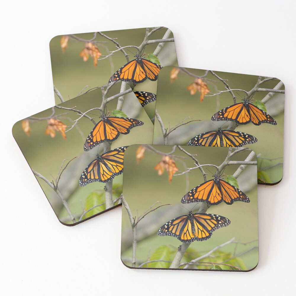 Item preview, Coasters (Set of 4) designed and sold by acwb.