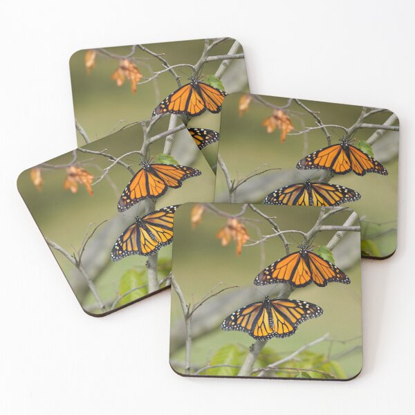 Item preview, Male and Female Monarchs designed and sold by acwb.
