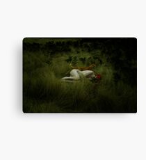 Domesticated Canvas Print