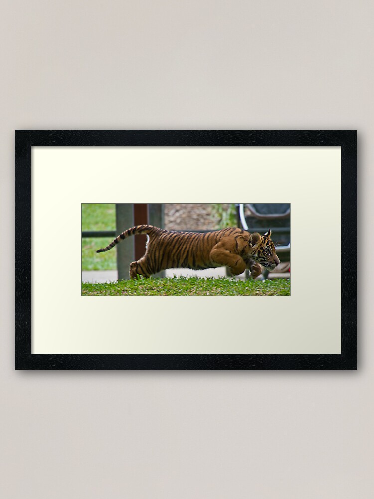 Alternate view of Speed Framed Art Print
