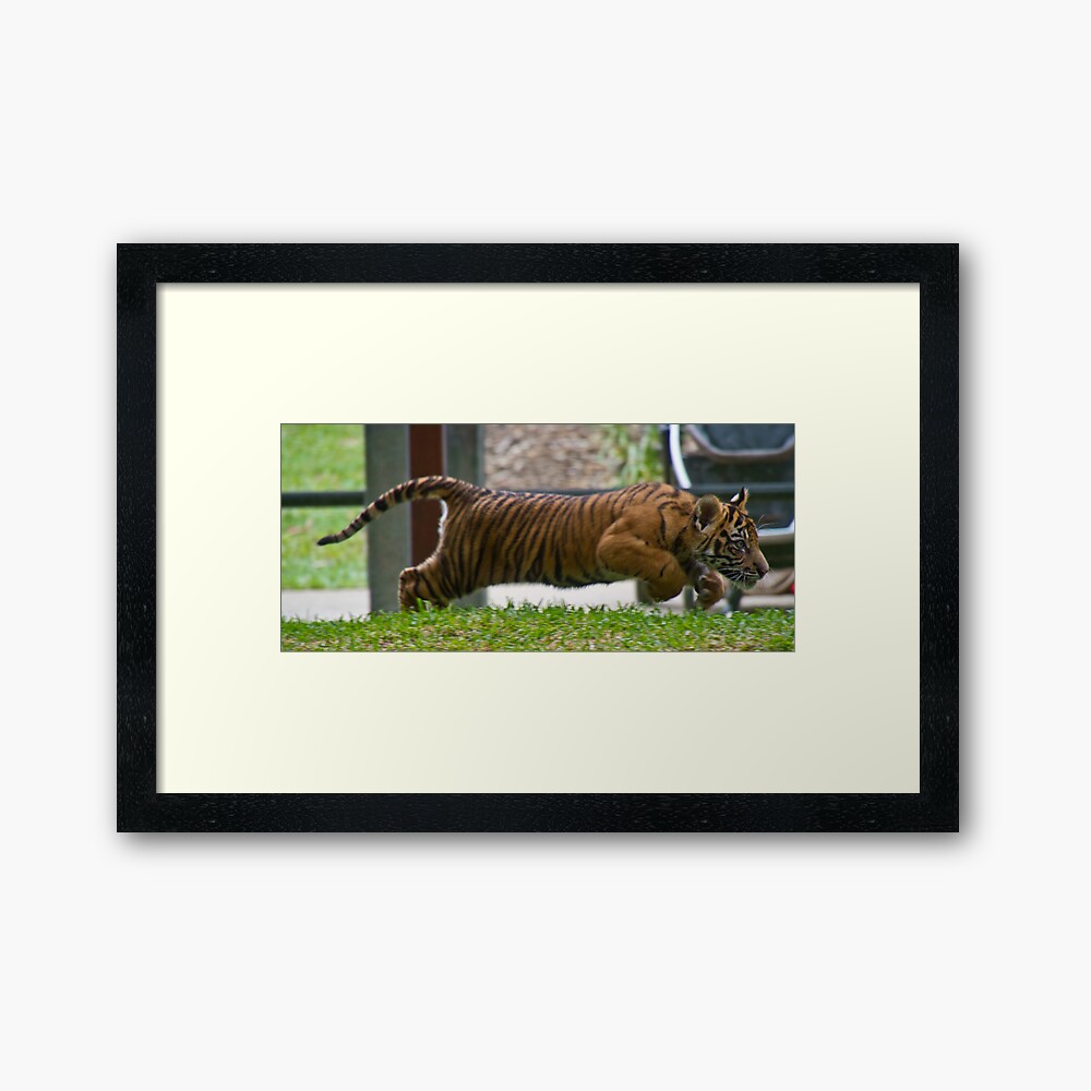 Speed Framed Art Print