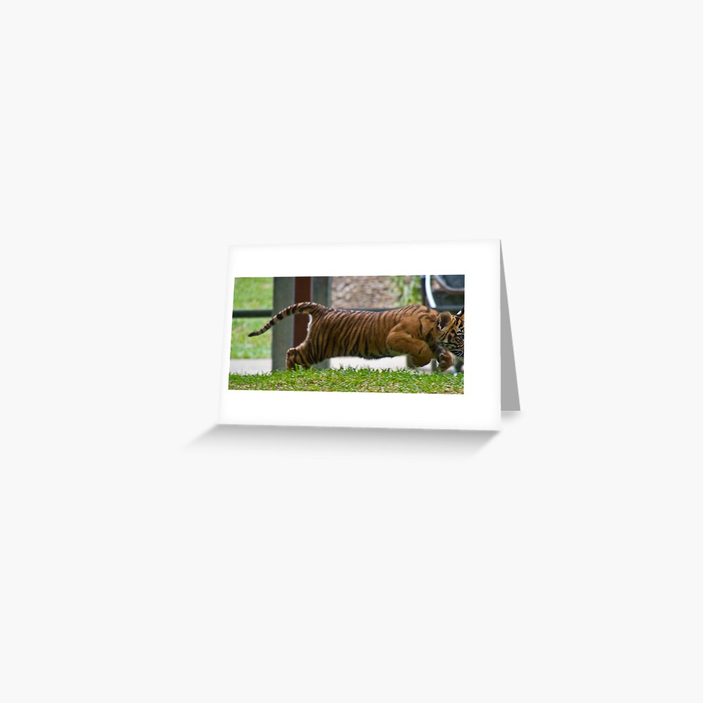 Speed Greeting Card