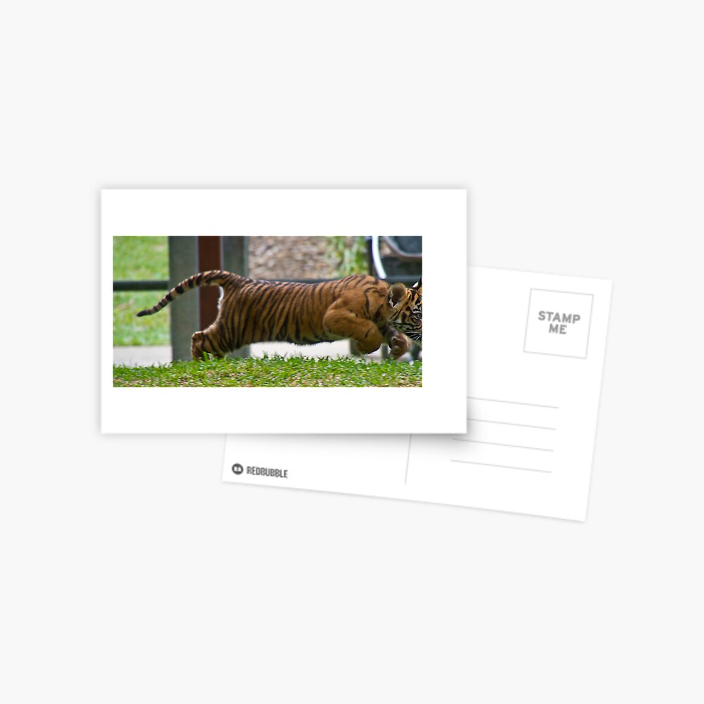 Speed Postcard