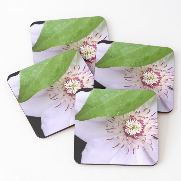 Item preview, Clematis designed and sold by KarDanCreations.