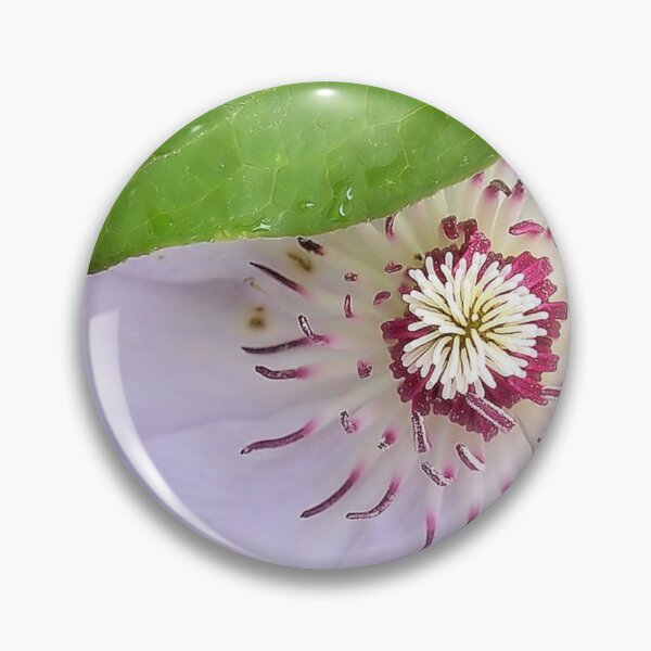 Item preview, Clematis designed and sold by KarDanCreations.