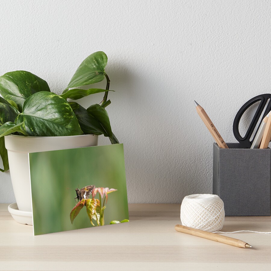 Item preview, Art Board Print designed and sold by acwb.