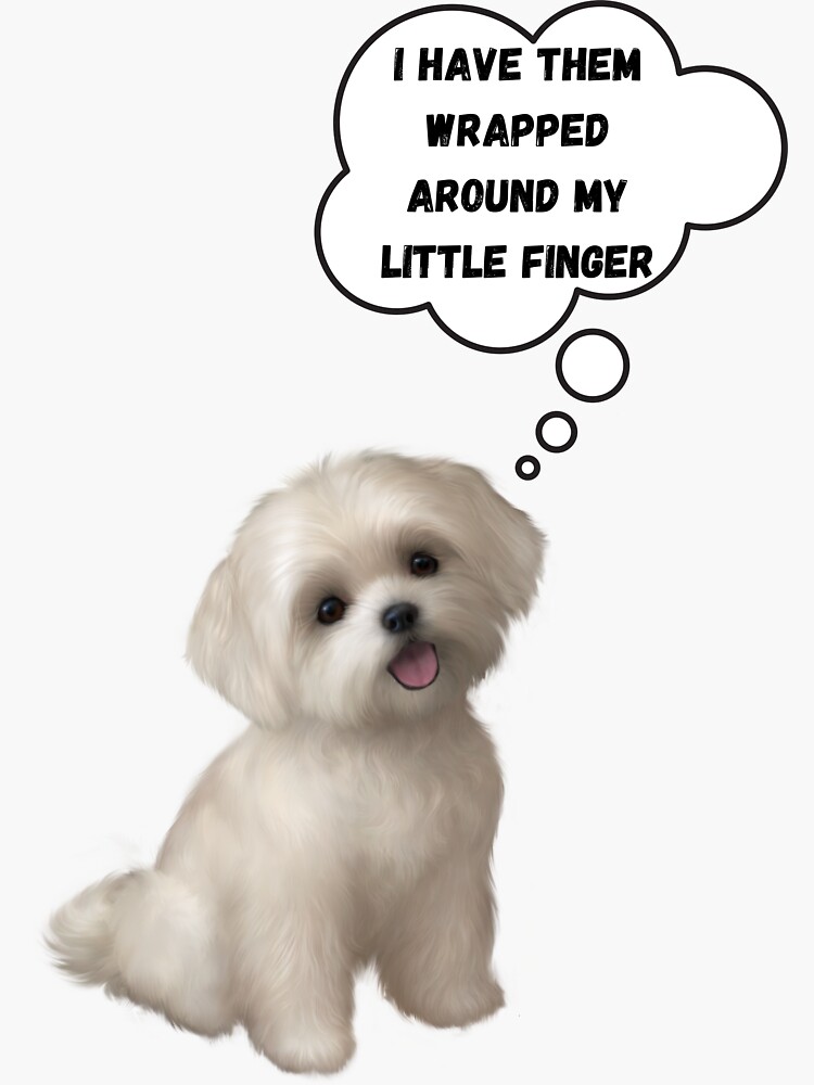 "Maltese Wrapped Around Little Finger" Sticker by MystikMedia
