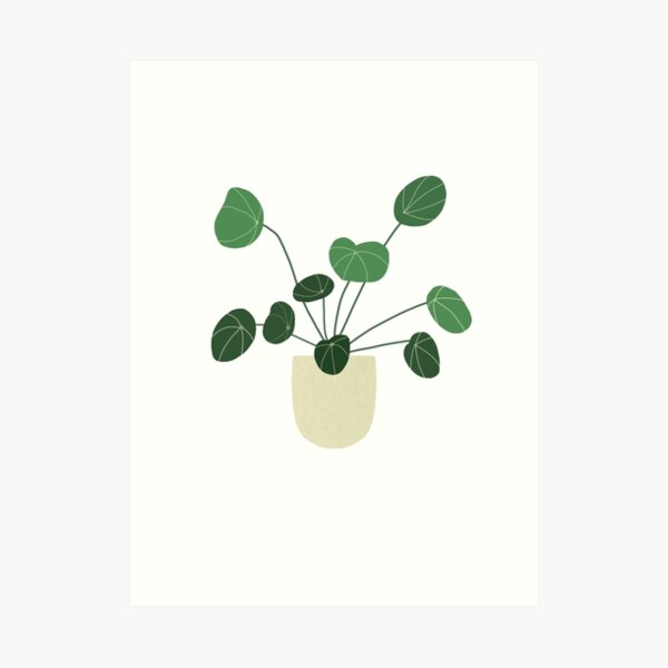 Chinese Money Plant Drawing Origami Paper Coloring book, origami poster,  angle, triangle png | PNGEgg