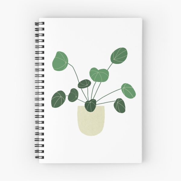Item preview, Pilea designed and sold by kareanddesign.