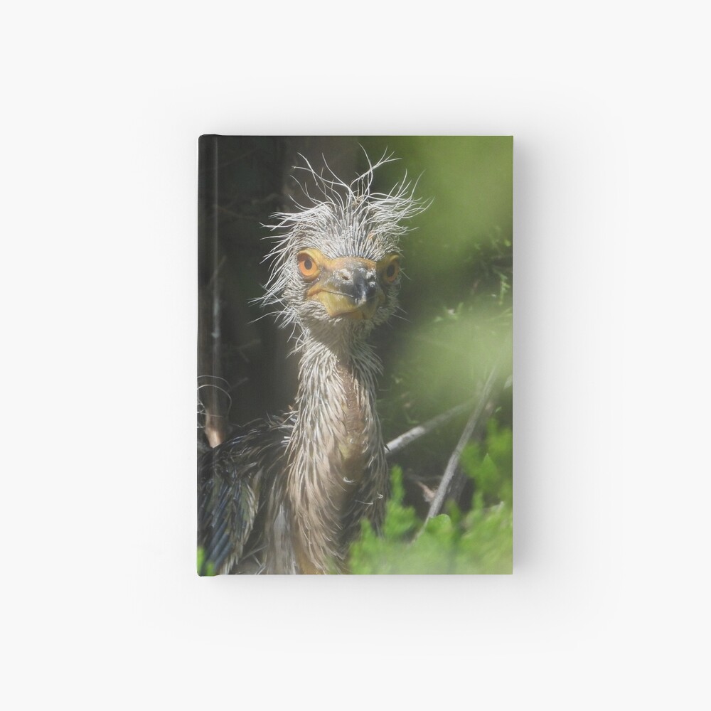 Quarantine Hair - Black Crowned Night Heron chick Hardcover Journal