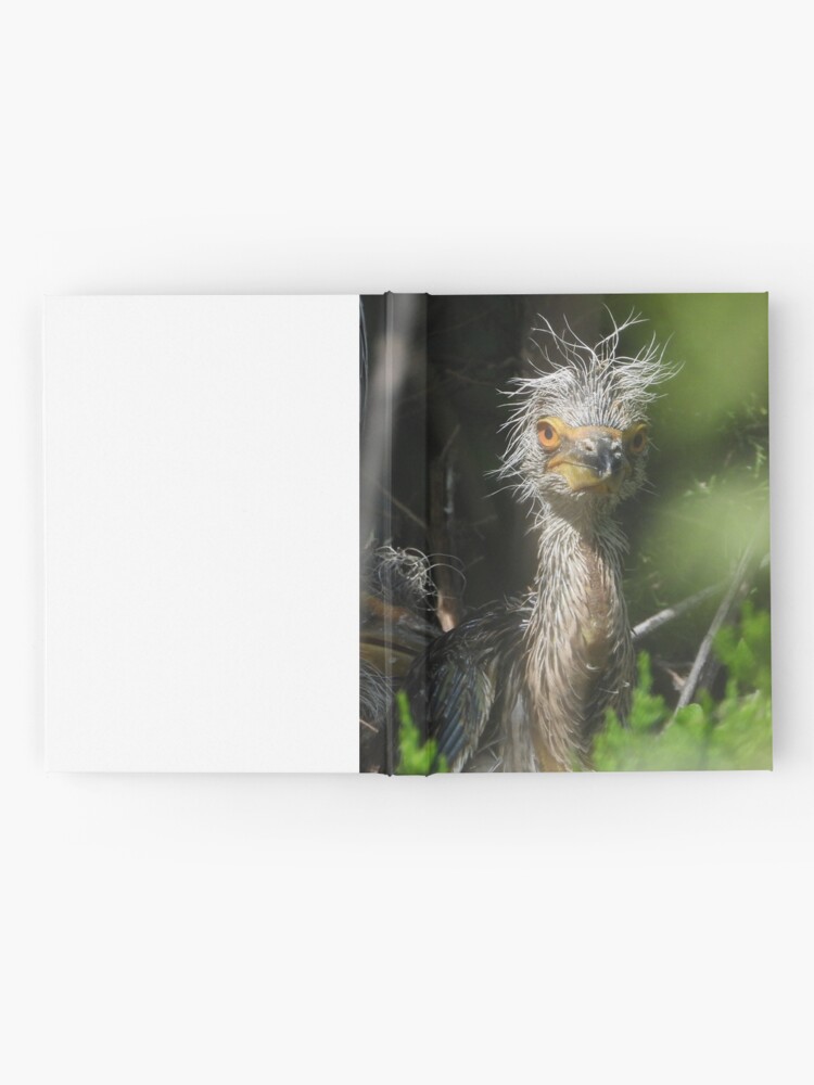 Alternate view of Quarantine Hair - Black Crowned Night Heron chick Hardcover Journal