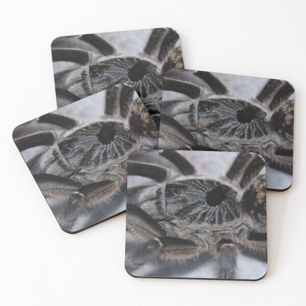Artikelvorschau, Ceratogyrus marshalli weiblich entworfen und verkauft von busybeeboy.