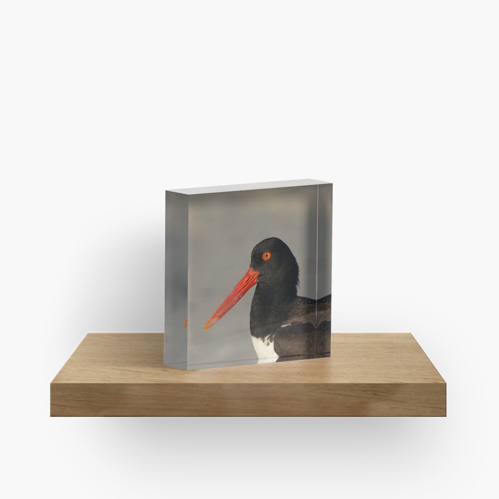 Item preview, Acrylic Block designed and sold by acwb.