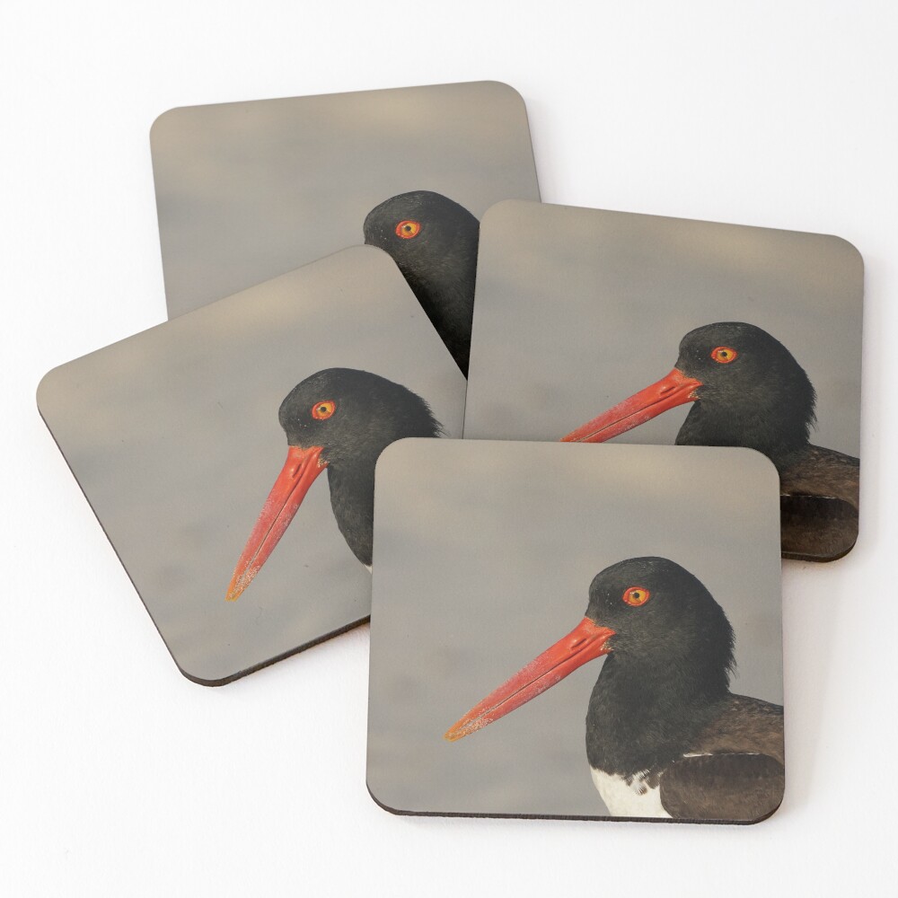 Item preview, Coasters (Set of 4) designed and sold by acwb.