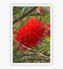 Red Bottle Brush Sticker