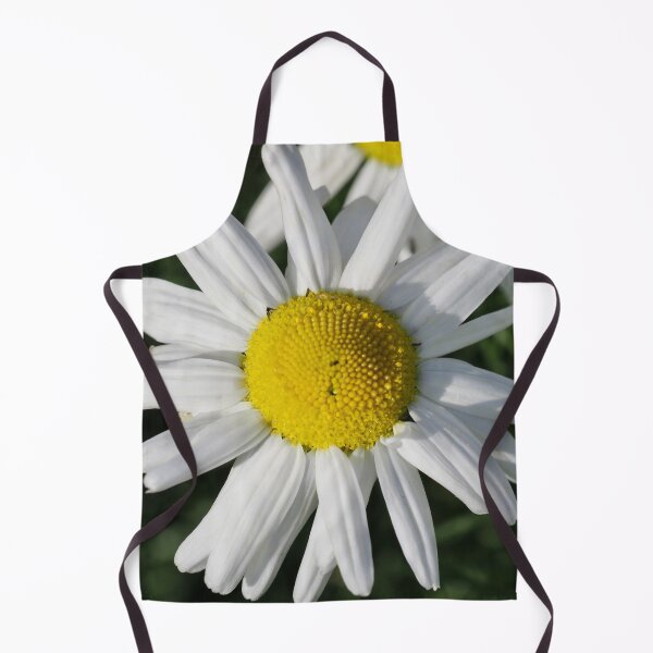 Item preview, Daisy designed and sold by Alan Mackinnon.