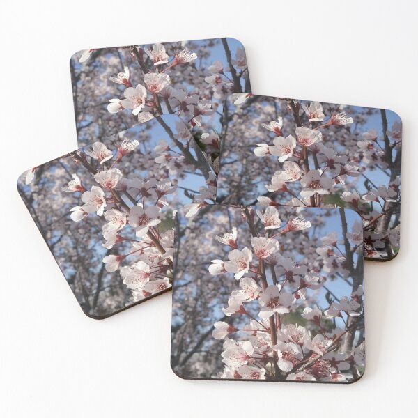 Item preview, White flowers designed and sold by Luccianos.