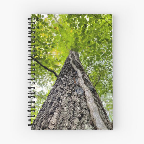 Item preview, Going Up designed and sold by Photogenia.