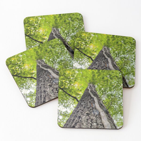 Item preview, Going Up designed and sold by Photogenia.