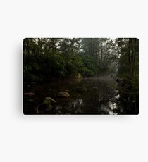 Kangaroo Valley - Peacefull Creek view 01 Canvas Print