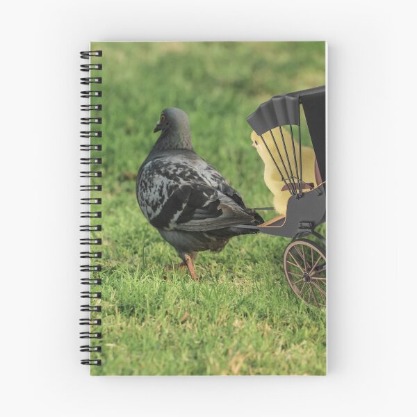 Item preview, Pedicab Pigeon designed and sold by Randy Turnbow.