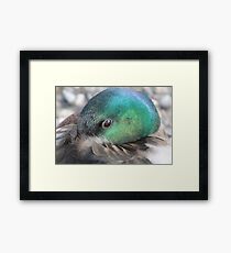 Precious Framed Print