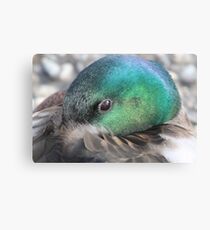Precious Canvas Print