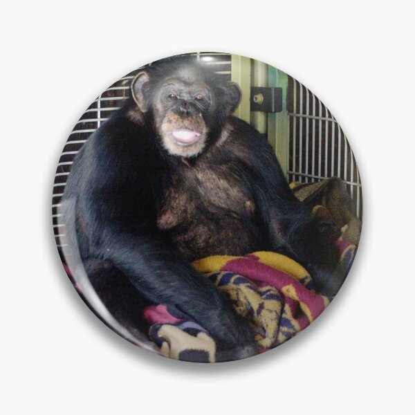 Item preview, Travis the Chimp designed and sold by rexlichen.